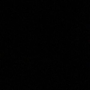 Meet your Posher, Maia